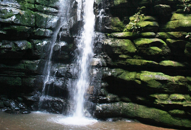 Discover the waterfalls of São Luiz do Purunã and region